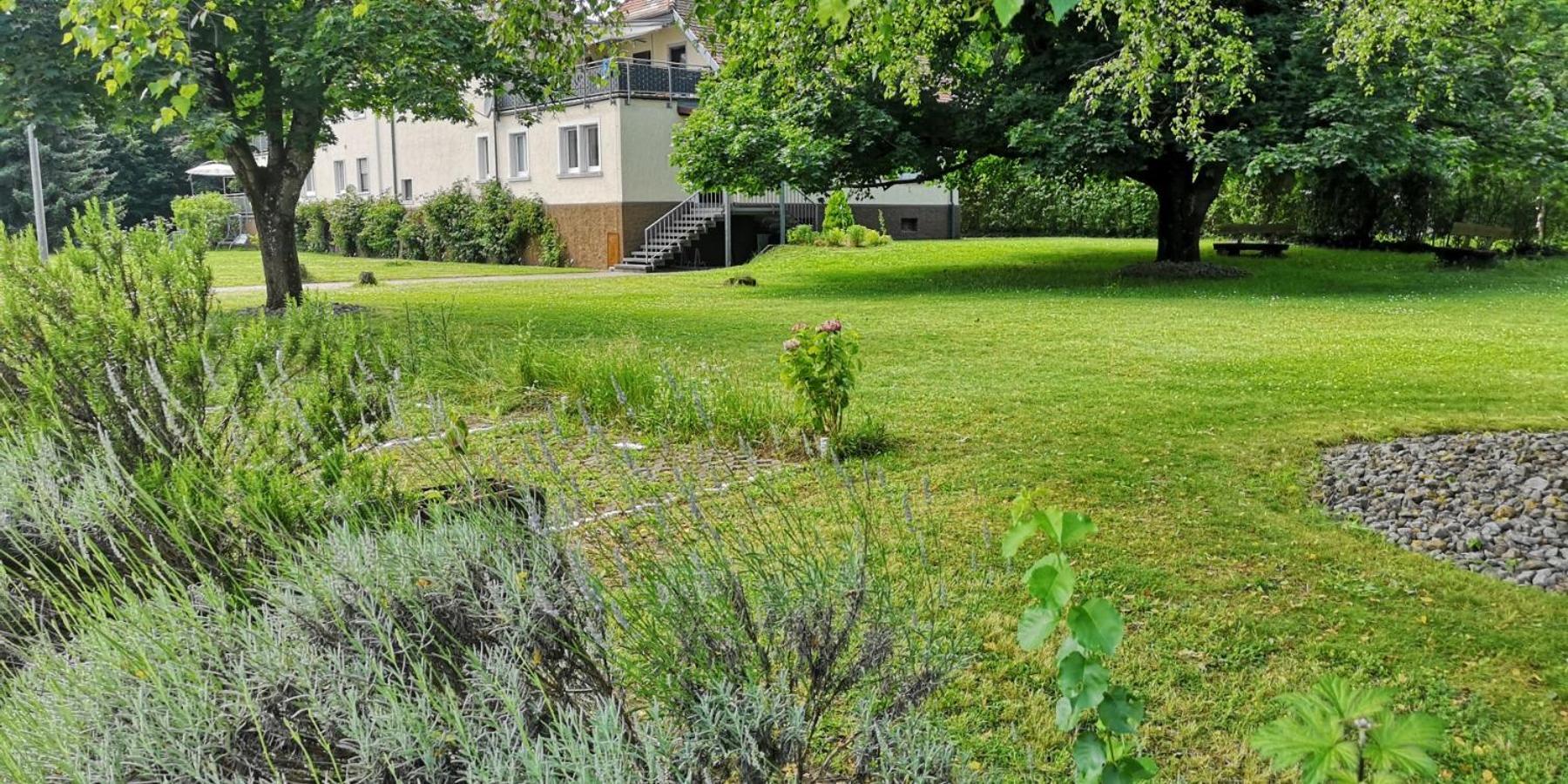 Niederwald Apartamento Iffezheim Exterior foto