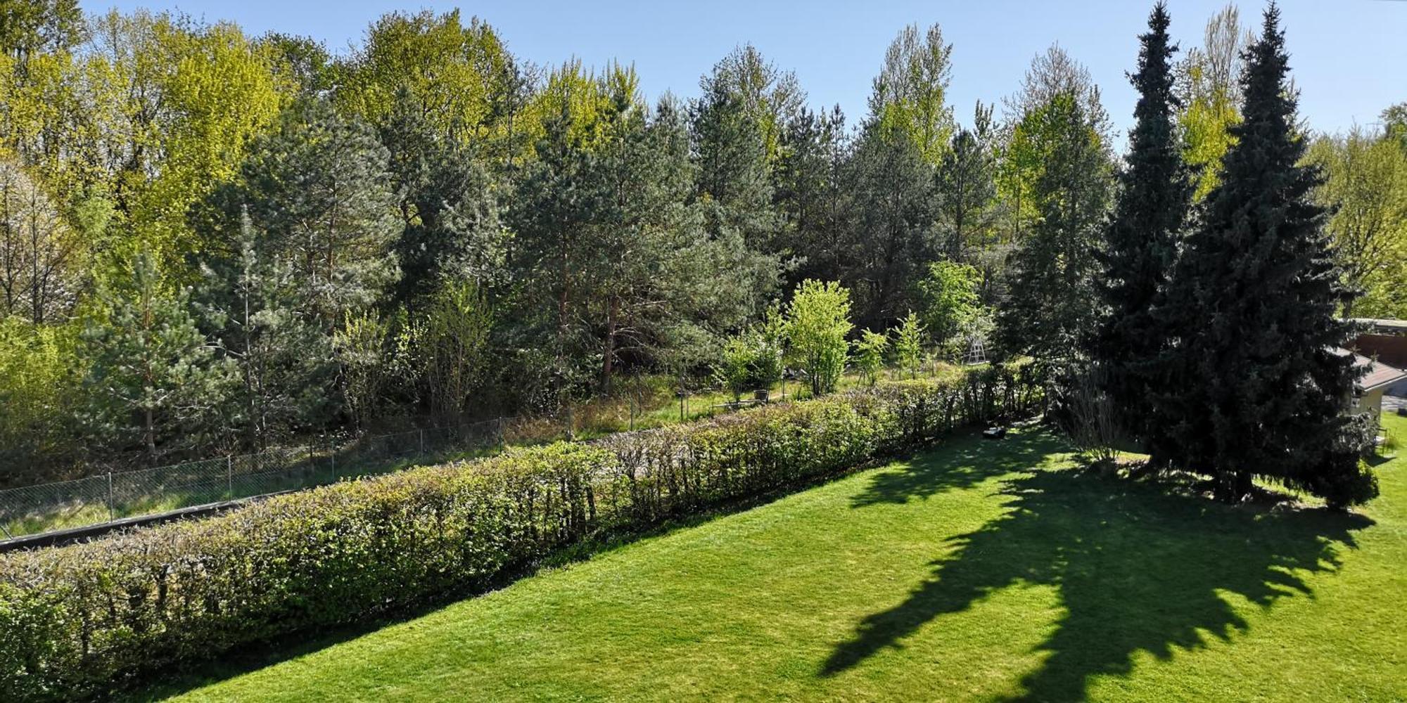 Niederwald Apartamento Iffezheim Exterior foto